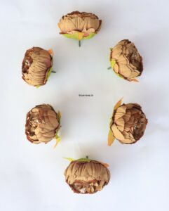 Artificial Peony Flowers Clay Brown Color (1)