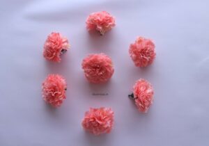 Artificial Carnation Color – Punch Pink color (1)