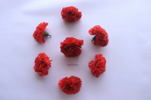 Artificial Premium Carnation Flower Red Color (1)