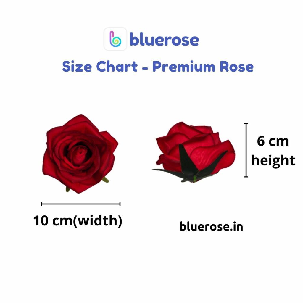 Rose Size Chart